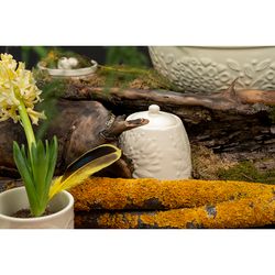 Сахарница Birds of Paradise, 400 мл, кремовая