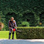 Кусторез (бензоножницы для живой изгороди) бензиновый EFCO TG 2460 P