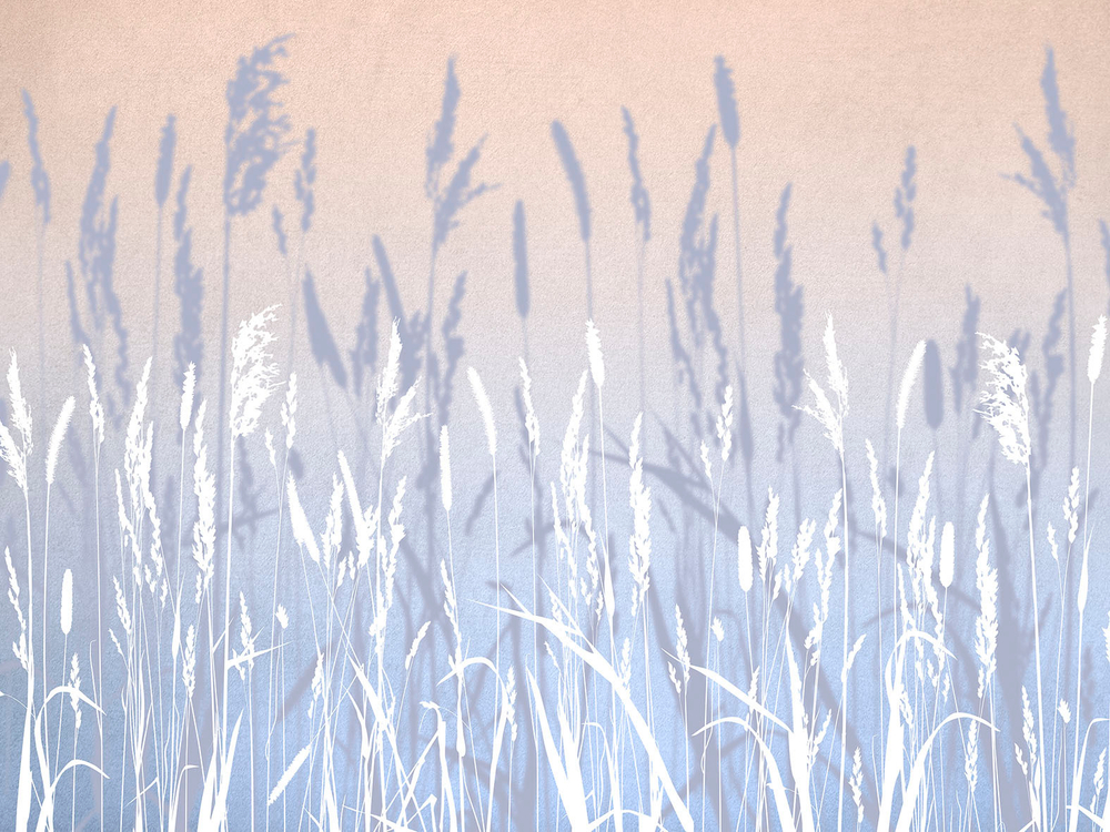 Дизайнерские обои Wall Street Essence