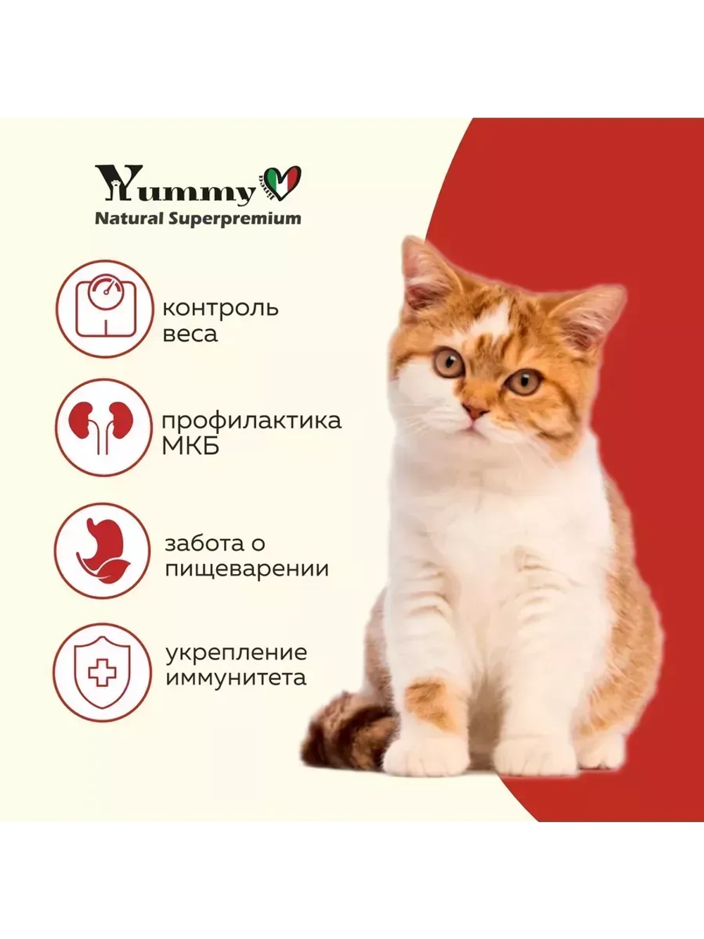 Влажный корм для стерилизованных кошек, говядина 12х100гр
