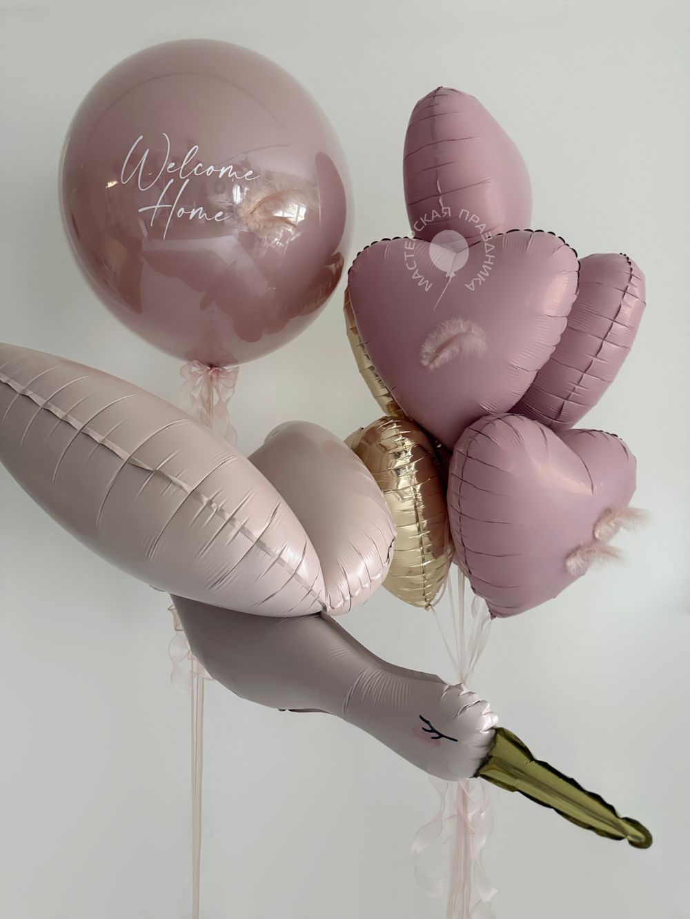 Воздушные шары на выписку для девочки №8864 