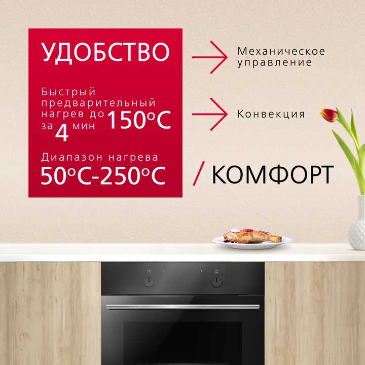 Духовой шкаф Hansa BOES68004