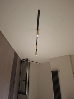 Трековый свет