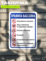 Табличка для бассейна "Правила бассейна", на пляж, для общественной и частной зоны отдыха, информационная, 40х30 см, Silver Plane x Айдентика Технолоджи