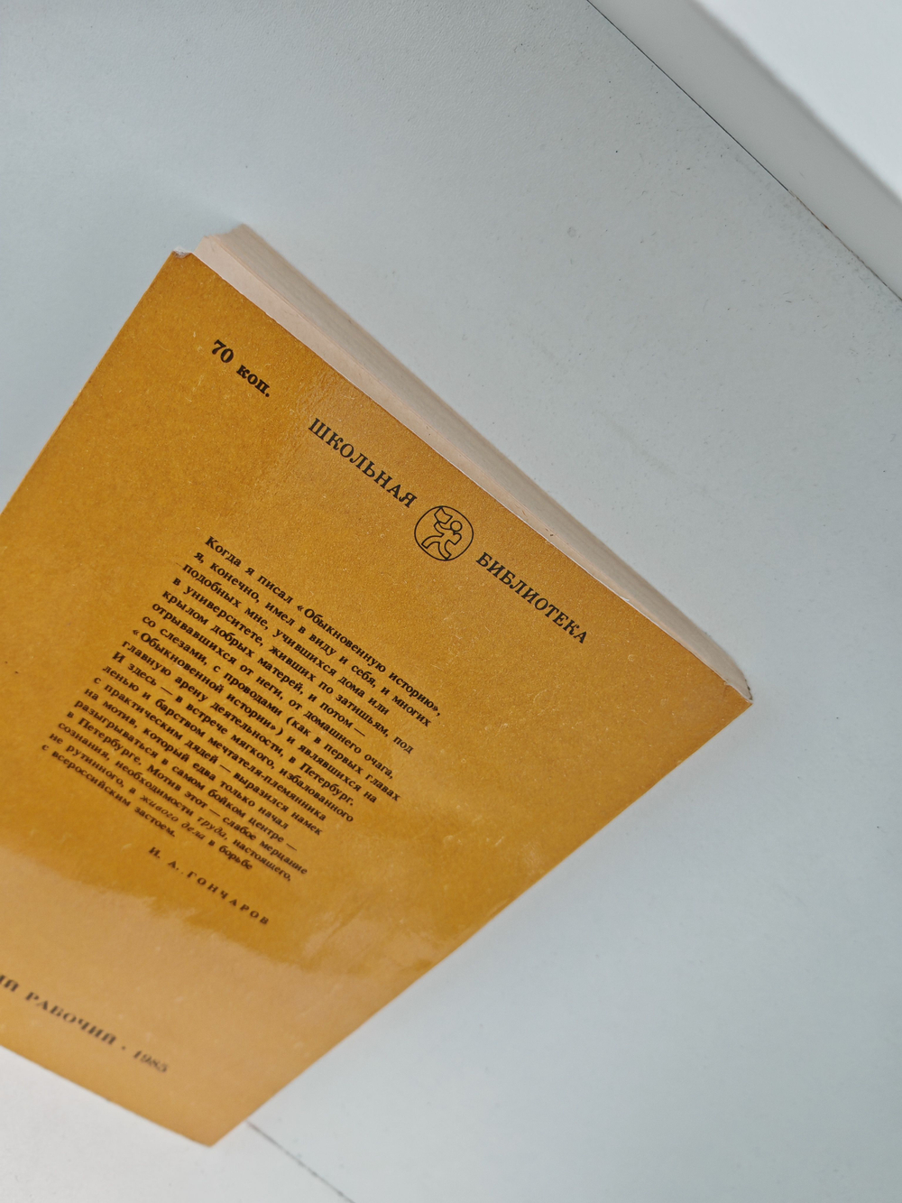 Обыкновенная история: Роман в двух частях