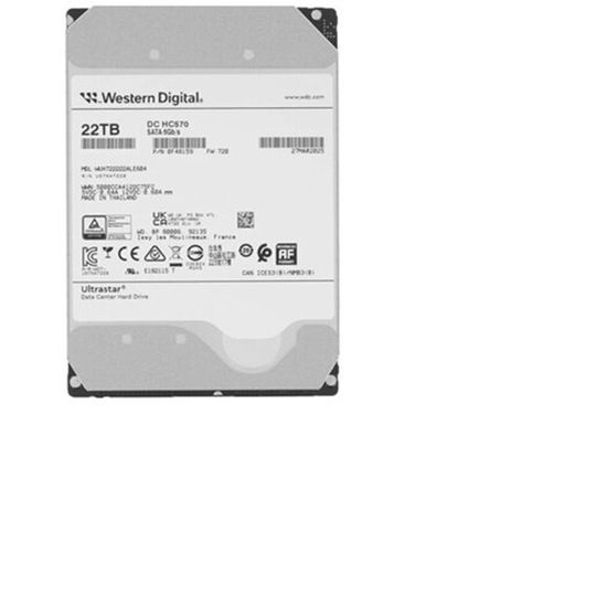 Серверный жесткий диск HDD WESTERN DIGITAL Ultrastar HC570