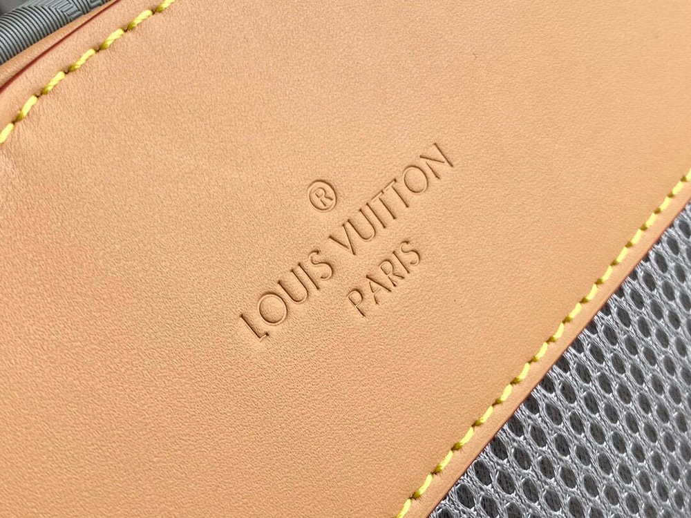 Louis Vuitton Backpack Titanium