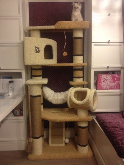 Игровой комплекс для кошки И-18