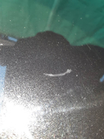 колпак запасного колеса Toyota Rush J200E J210G