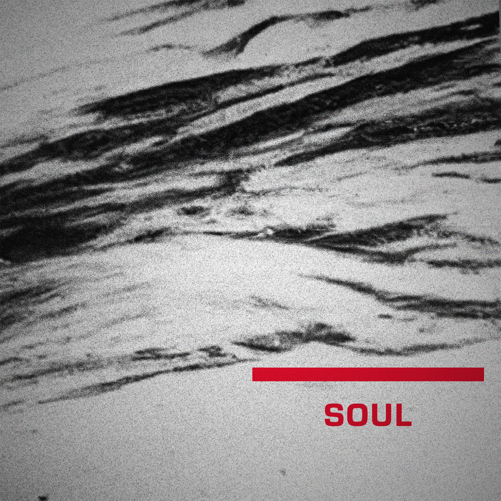 Сноуборд SG Soul 2025/2026