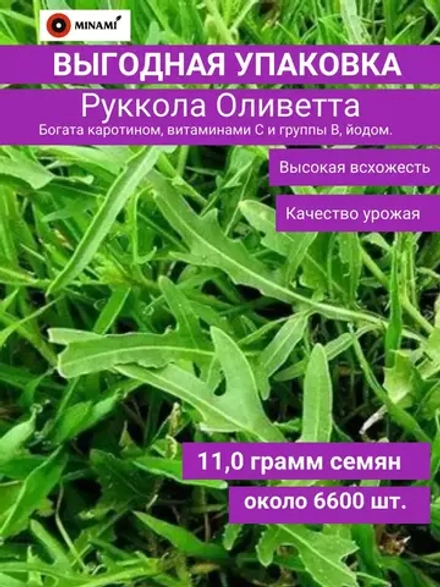 Индау руккола Оливетта Двурядник