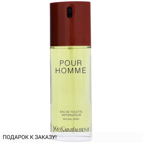 Yves Saint Laurent Pour Homme