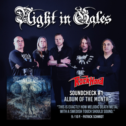 NIGHT IN GALES - Shadowreaper Gold Black Splatter LP, цветная виниловая пластинка, melodic death metal