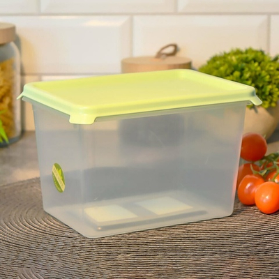 Контейнер для СВЧ 2л "Freshpak", чайное дерево