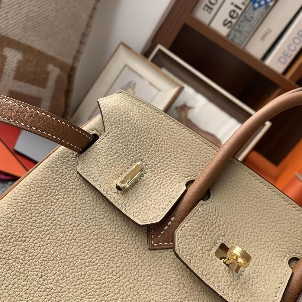 Hermes Birkin 25