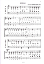 Параклисис. Канон молебный ко Пресвятой Богородице