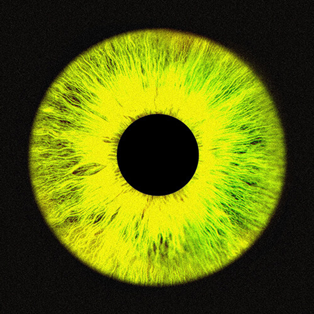 Альбом NO:EL - 23'F/W