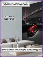 3D Фотообои красная машина и ночной город