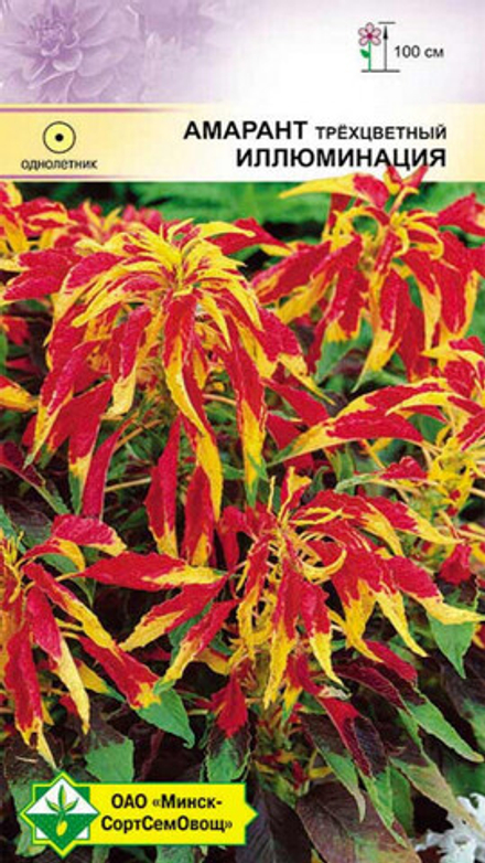 Амарант трёхцветный "Иллюминация" 0.1г., Германия.
