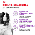 Royal Canin Giant Adult Корм сухой для взрослых собак очень крупных размеров 4 кг