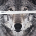 Виниловая пластинка Thirty Seconds To Mars ‎– This Is War 2LP+CD