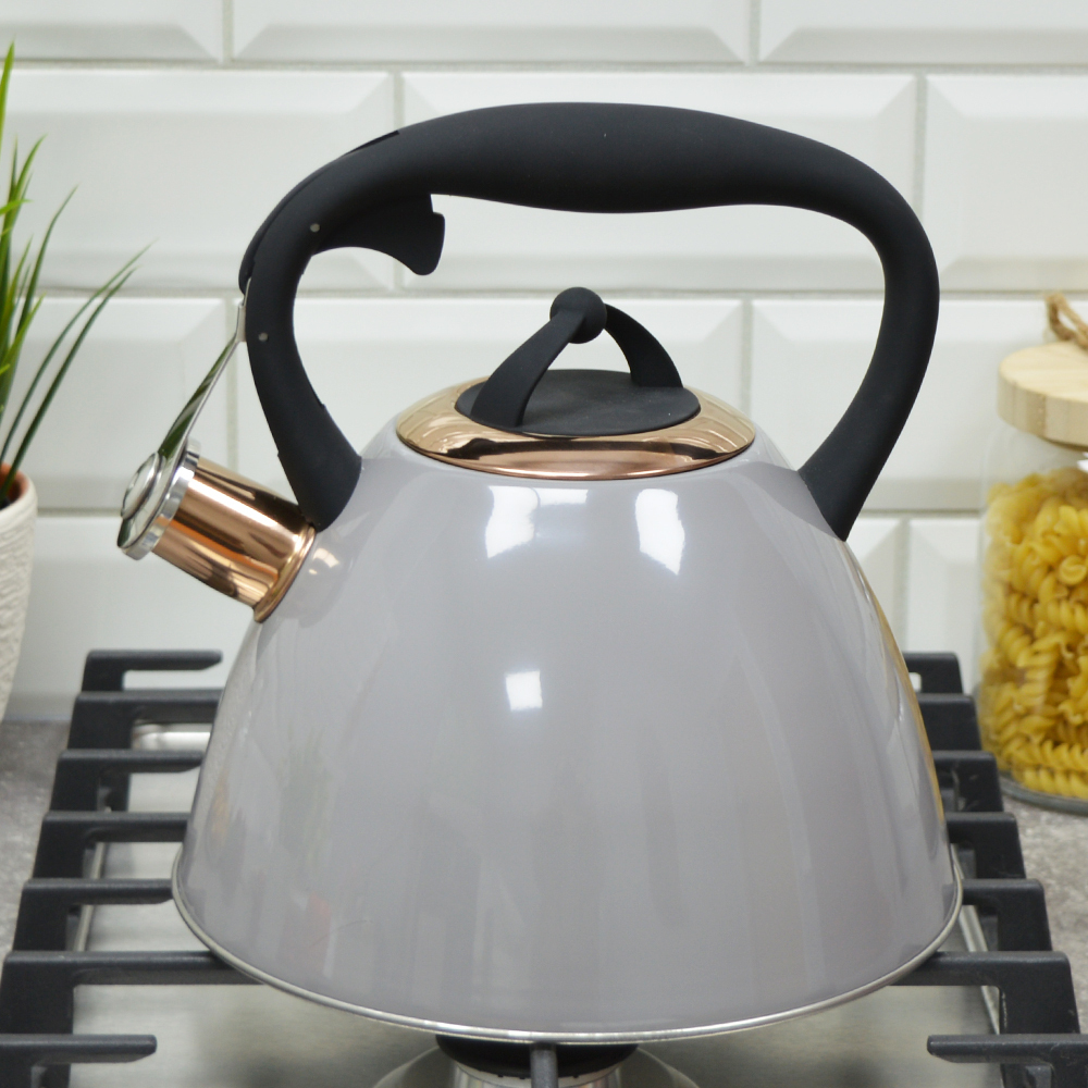 Чайник 2,7л со свистком нерж, индукция Agness