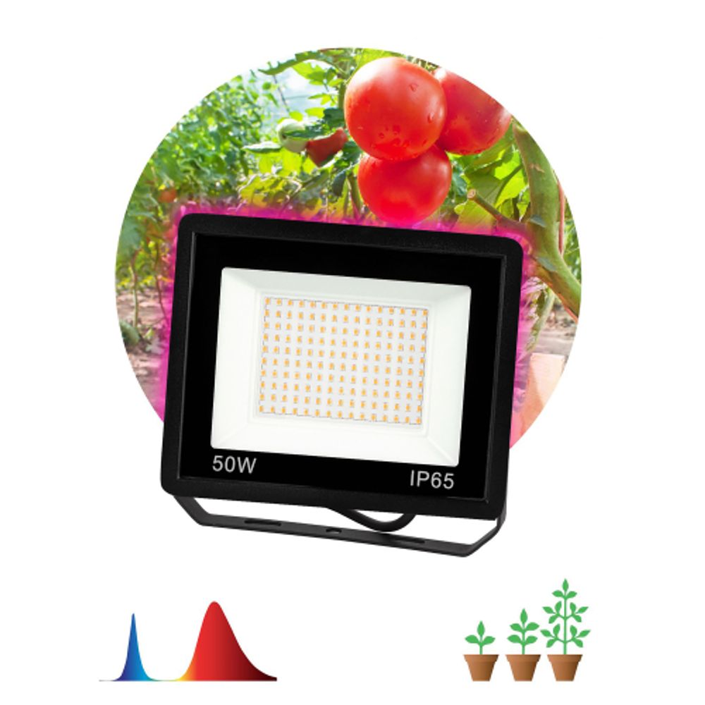 Фитопрожектор для растений светодиодный ЭРА FITO-50W-RB-LED для цветения и плодоношения красно-синего спектра 50 Вт | Фито прожекторы