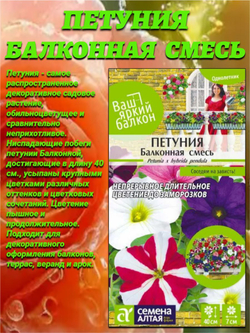 Великолепная смесь окрасок: виола, алиссум, лобелия, бархатцы, петуния