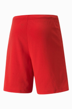 Шорты Puma teamRISE