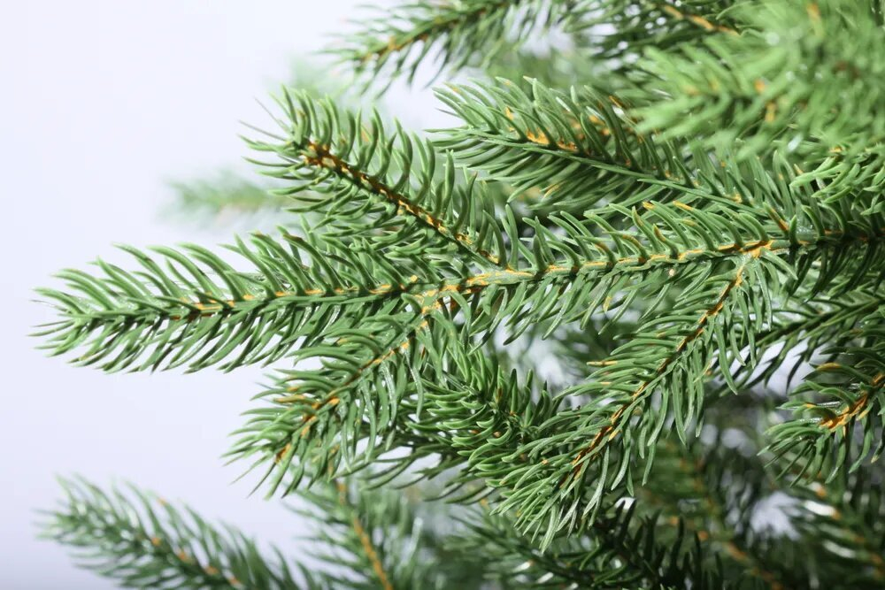 Искусственная новогодняя елка Царь Елка Аделина, литая, 240 см