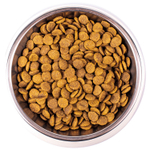 Monge Cat Adult Сухой корм для взрослых кошек с курицей, 400г