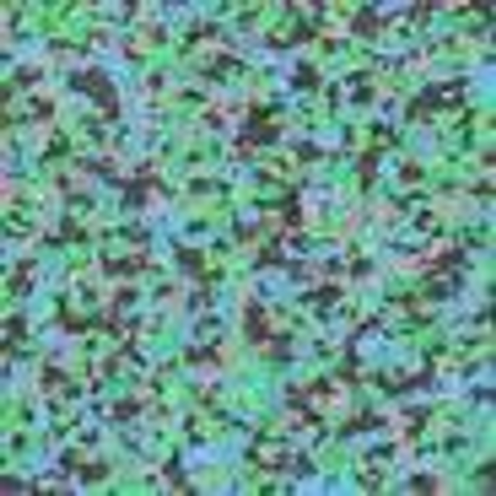 Рулонное покрытие Rubbergum Flex Eco