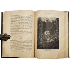 Бенуа А. Н. История русской живописи в XIX веке.  СПб.: Типография  Е. Евдокимов, 1902.