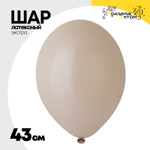 Шар латексный Экстра Пастель 43 см (Белый)