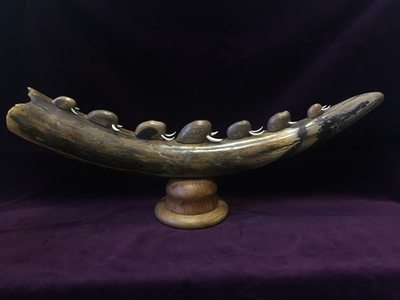 Шествие мамонтов