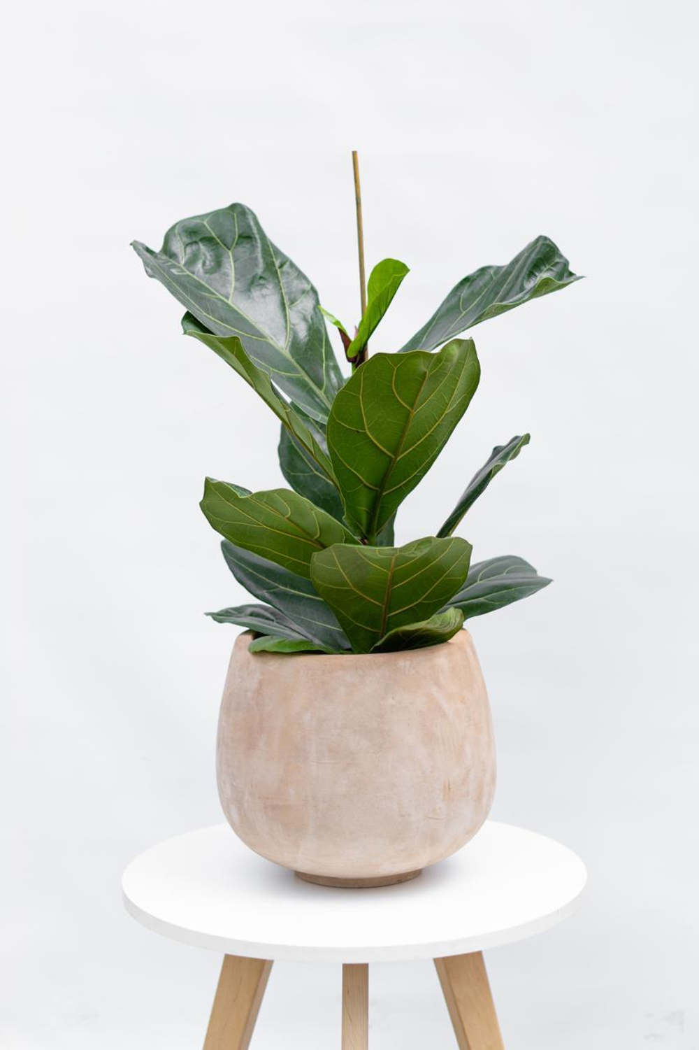 Кашпо Jaze Planter 29/25