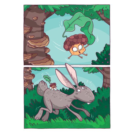 Желудёнок: большая прогулка