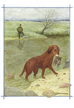 Добрые чувства животных. Т. Д. Жданова