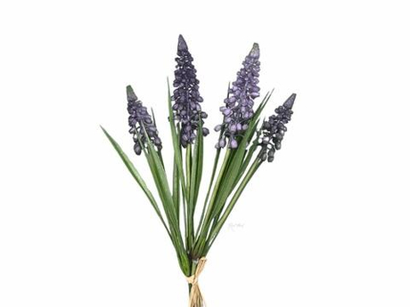 Мускари пучок - Фиолетовый