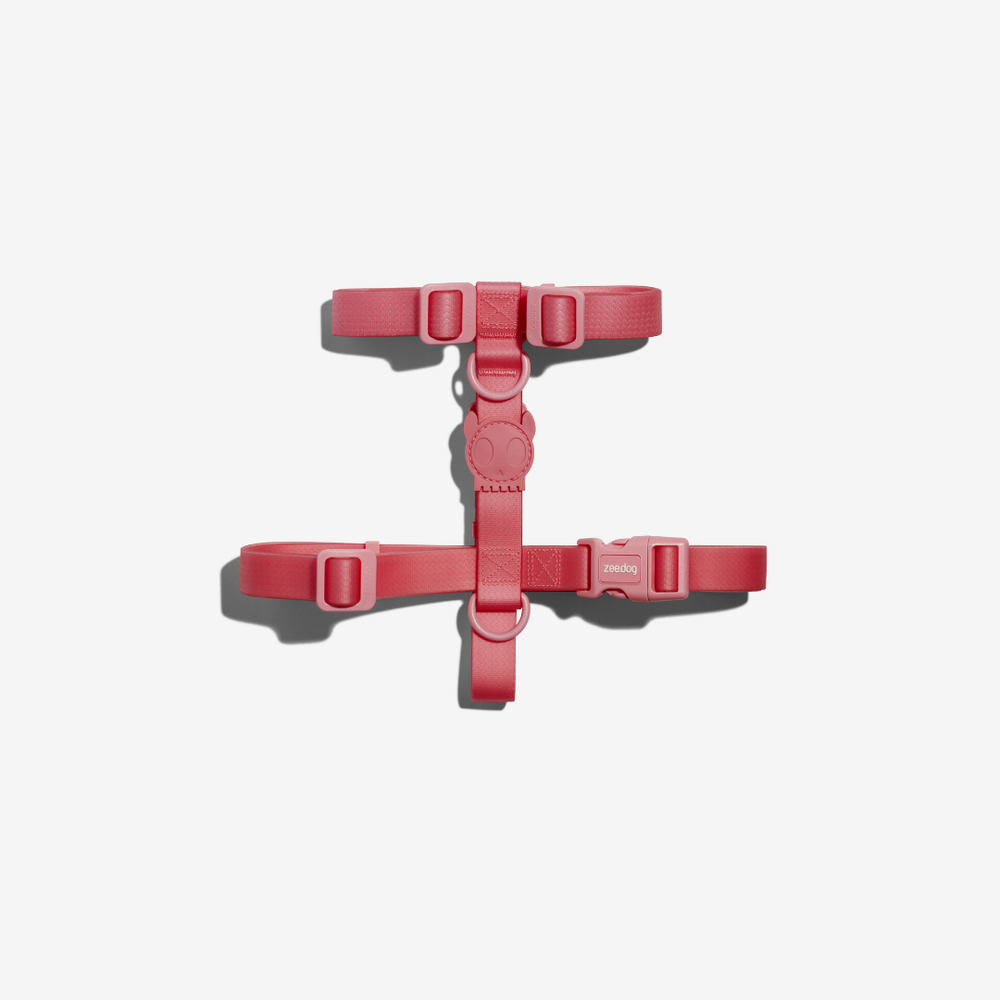 Шлейка NEOPRO BUBBLEGUM Zee.Dog