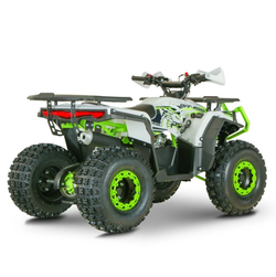 Квадроцикл YACOTA DRAGON