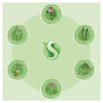 Пластилин на растительной основе (тесто для лепки) ЮНЛАНДИЯ, 7 цветов, 420 г, пластиковое ведро, 105506