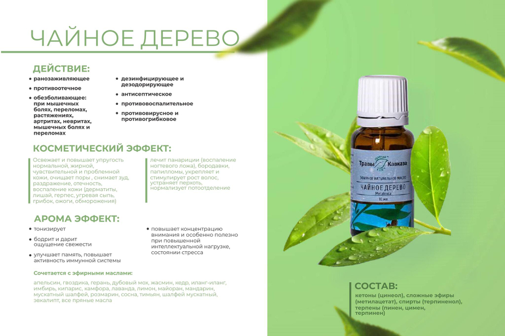 Эфирное масло Чайное дерево