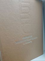 Большой энциклопедический словарь в 2-х томах (комплект из 2 книг)