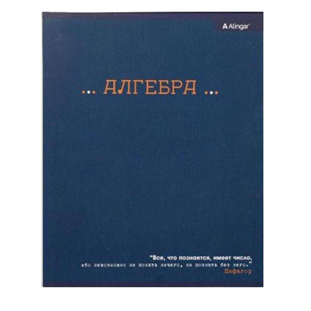 Тетради для школы предметные А5, 48 листов, 10 шт, Alingar, набор ученических тетрадей по предметам (биология, геометрия, химия и тд) со справочным материалом