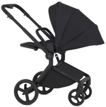 Детская коляска Anex Flo x Avionaut Cosmo 3 в 1 без адаптеров Lungo/ss-06 Black