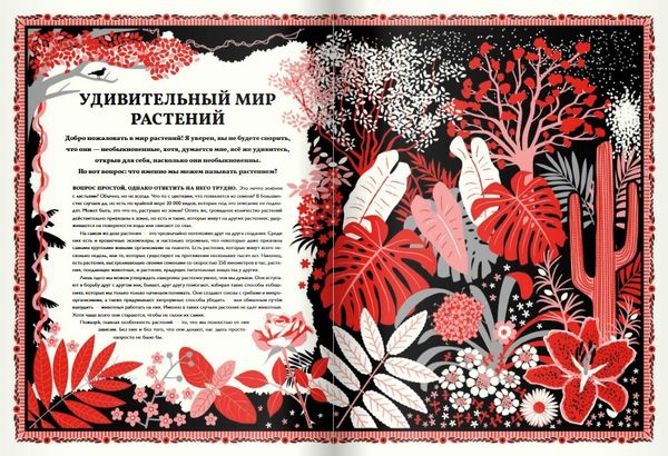 Мир растений