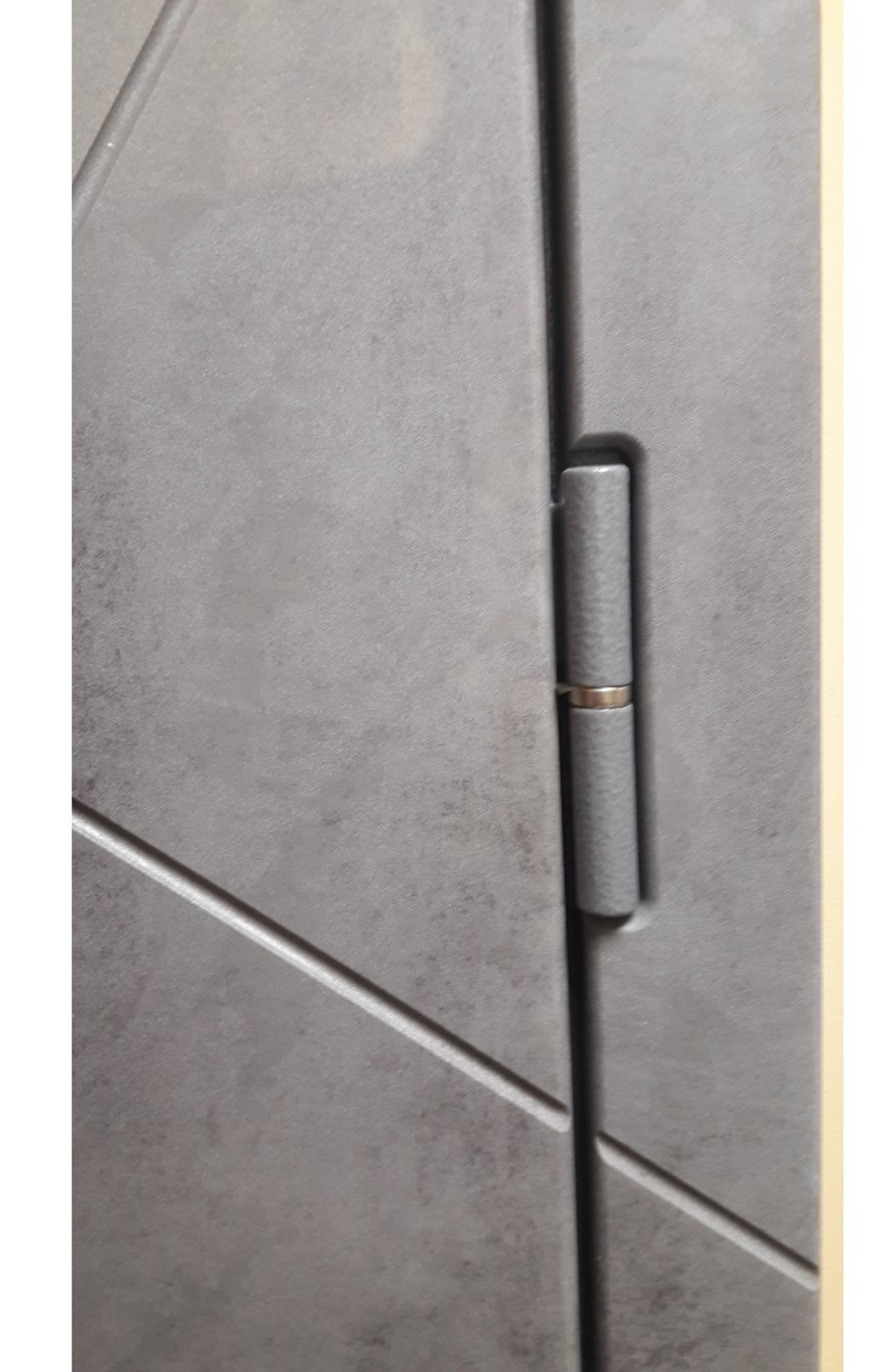 Входная металлическая дверь  с зеркалом RеX (РЕКС) 13 Бетон тёмный / зеркало Пастораль Венге