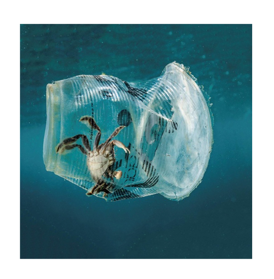 Необычные факты про пластик