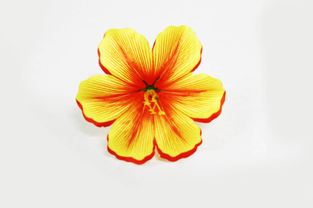 Физалис тигровый